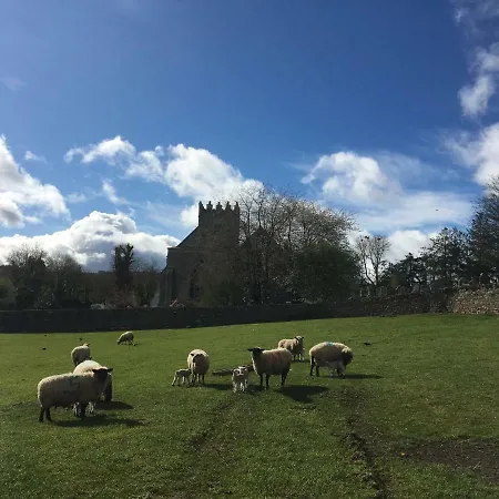 شقة Carey's Bar & Kilkenny Border