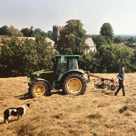 شقة Carey's Bar & Kilkenny Border *