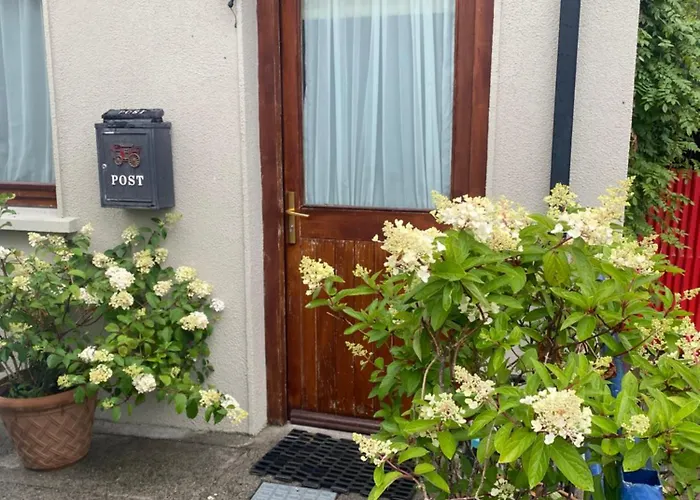 Carey's Bar & Kilkenny Border Apartament