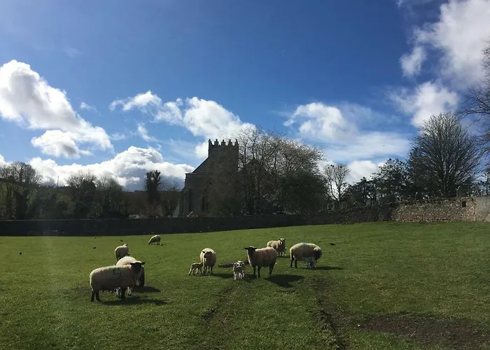 Apartamento Carey's Bar & Kilkenny Border