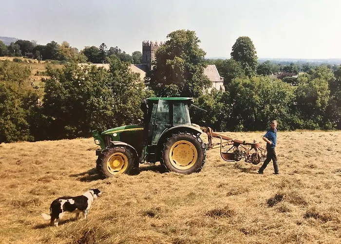 Apartmán Carey's Bar & Kilkenny Border *